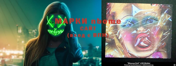 индика Нязепетровск