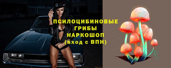 PSILOCYBIN Бежецк