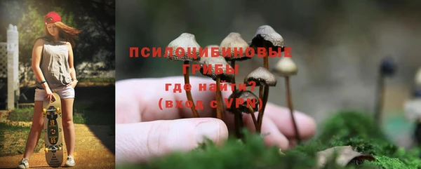 героин Няндома