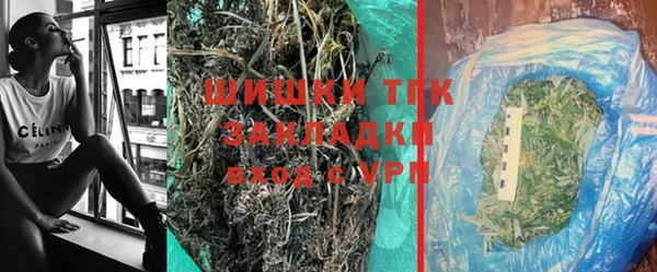 индика Нязепетровск
