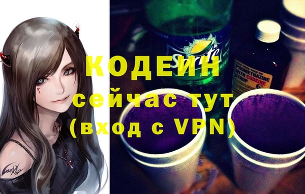 индика Нязепетровск