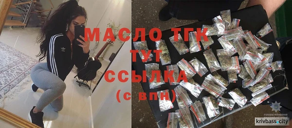индика Нязепетровск