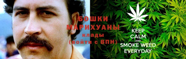 индика Нязепетровск