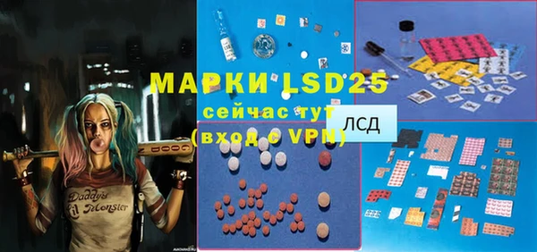 индика Нязепетровск