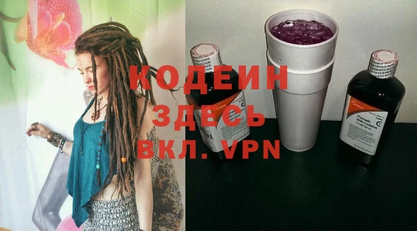 индика Нязепетровск