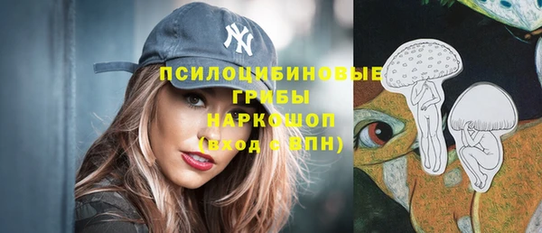 героин Няндома