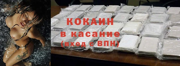 индика Нязепетровск