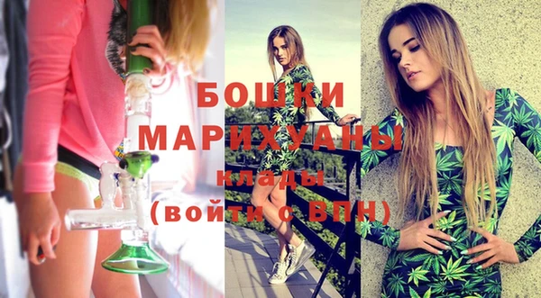 индика Нязепетровск