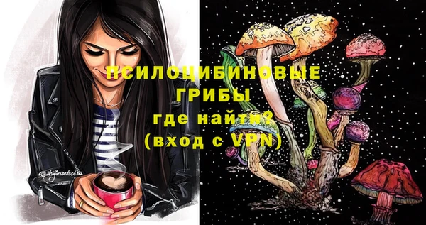 героин Няндома