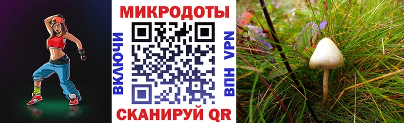 Галлюциногенные грибы Magic Shrooms  где продают   Правдинск 