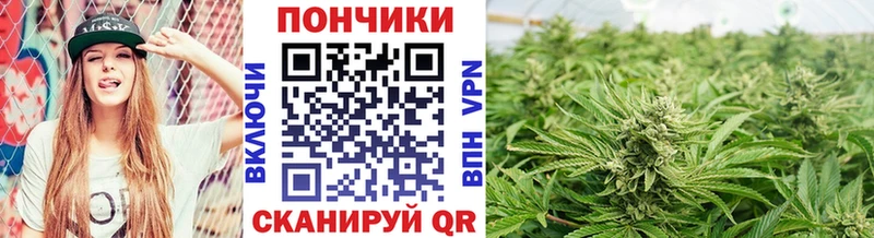 что такое наркотик  Правдинск  Бошки марихуана гибрид 
